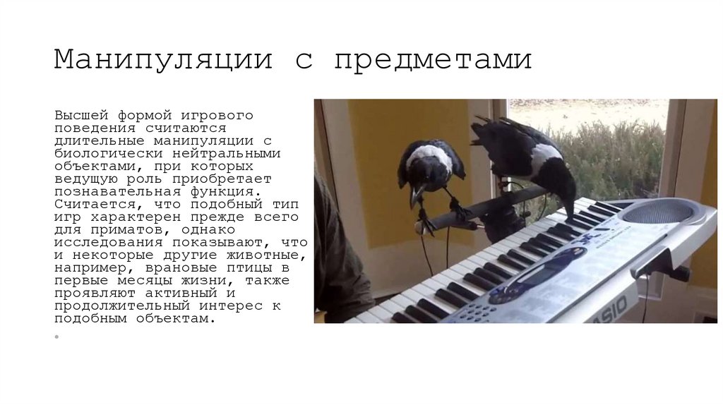 Манипуляции с предметами