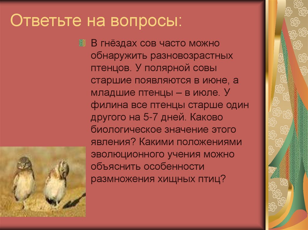 Ответьте на вопросы: