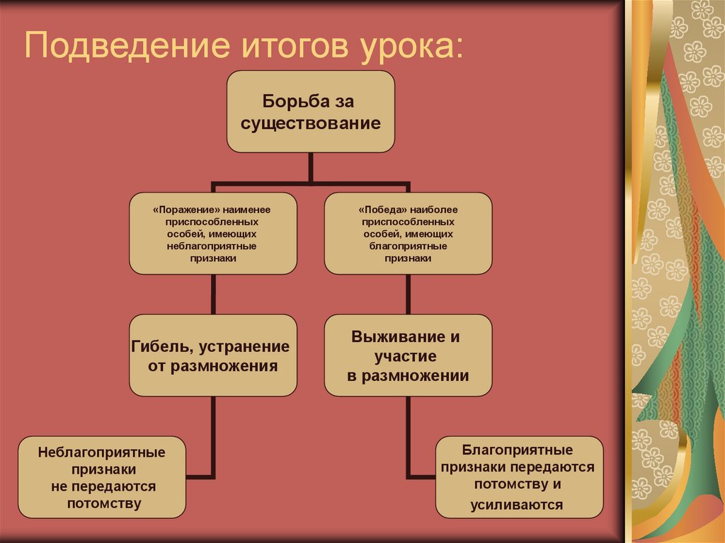 Подведение итогов урока: