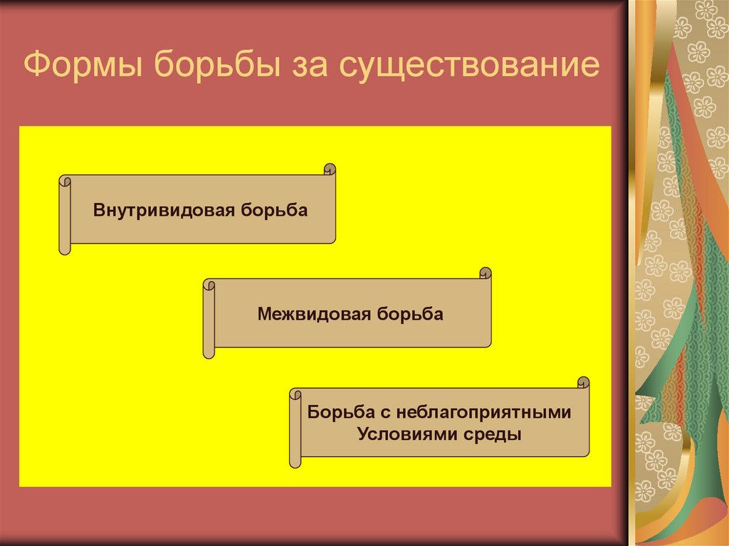Формы борьбы за существование
