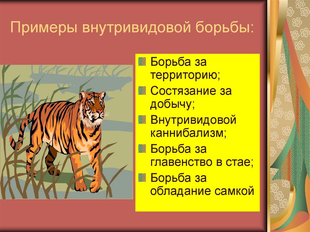 Примеры внутривидовой борьбы: