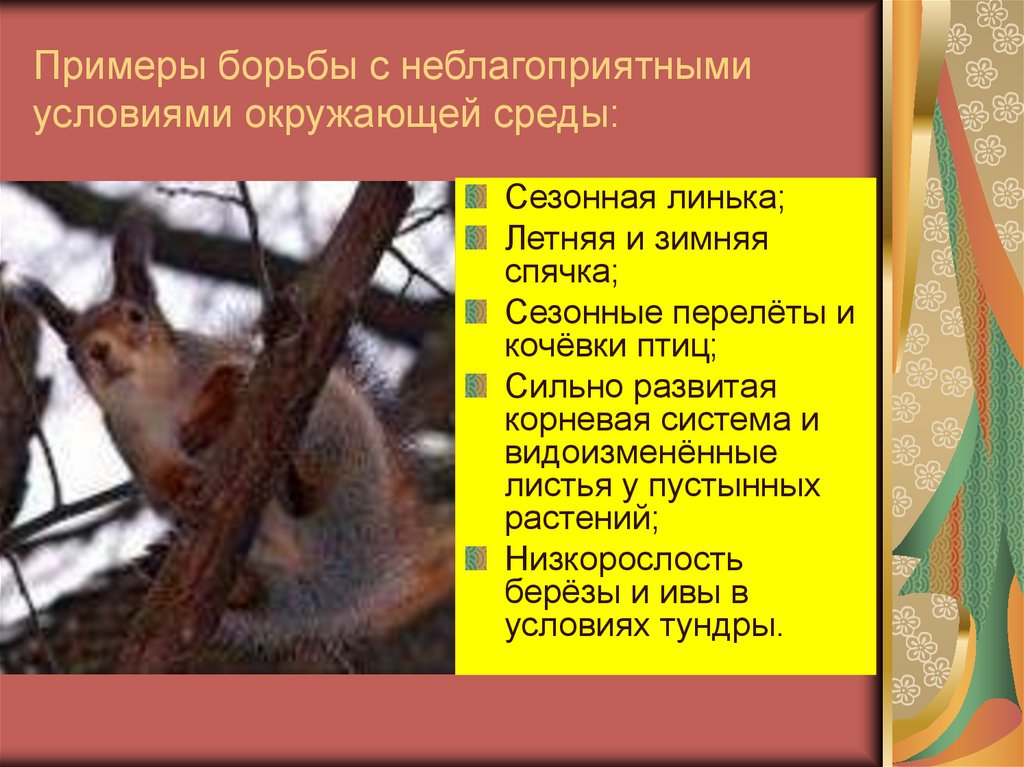 Примеры борьбы с неблагоприятными условиями окружающей среды: