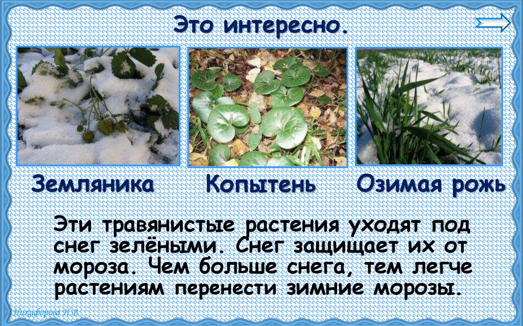 Это интересно.