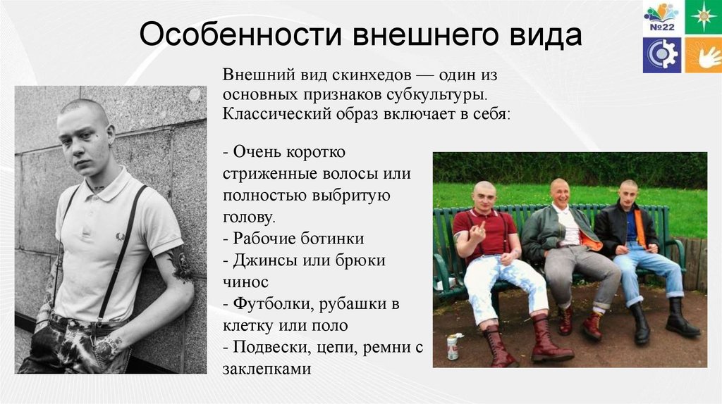 Особенности внешнего вида