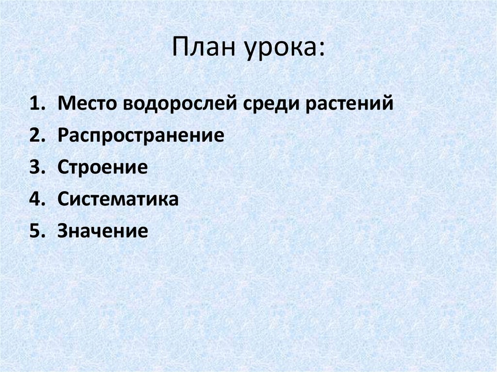 План урока: