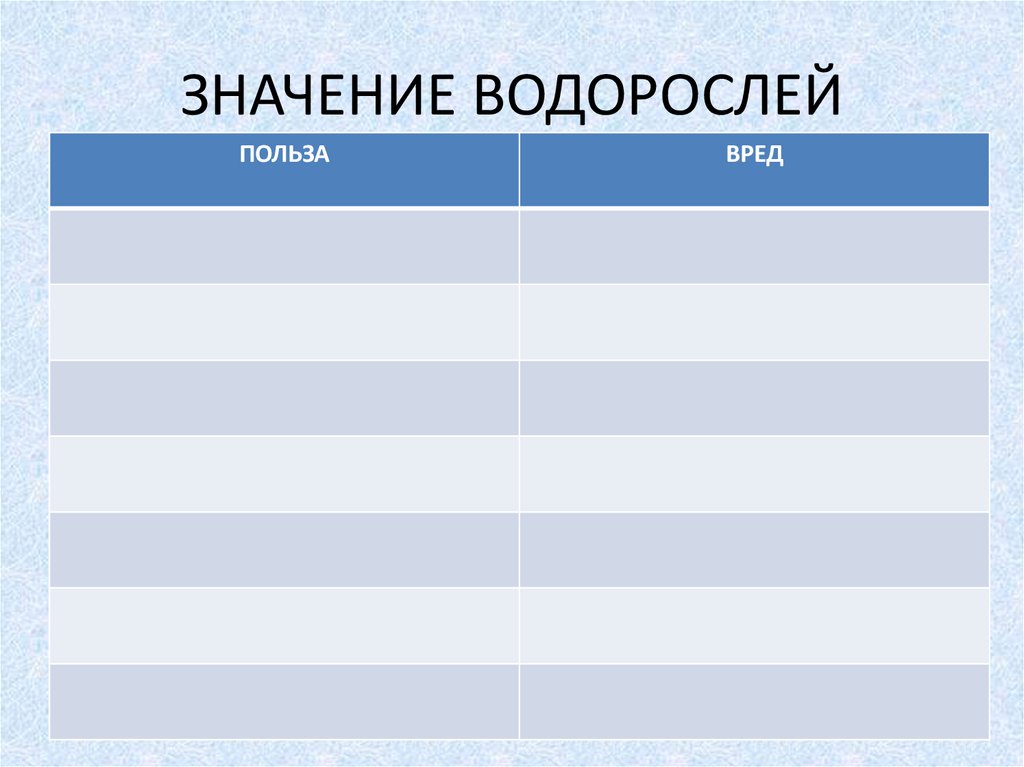 ЗНАЧЕНИЕ ВОДОРОСЛЕЙ