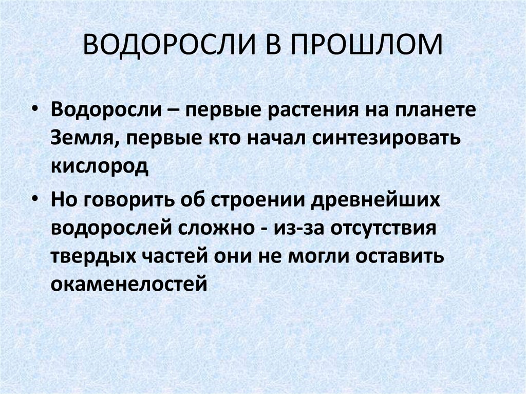 ВОДОРОСЛИ В ПРОШЛОМ