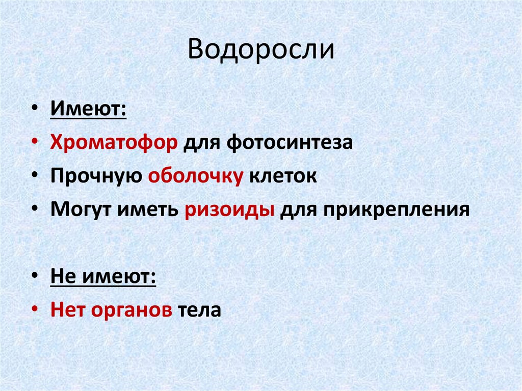 Водоросли