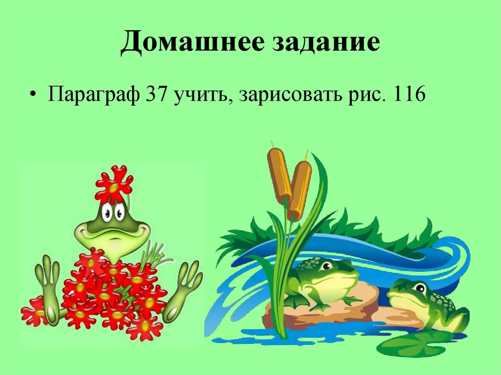 Домашнее задание