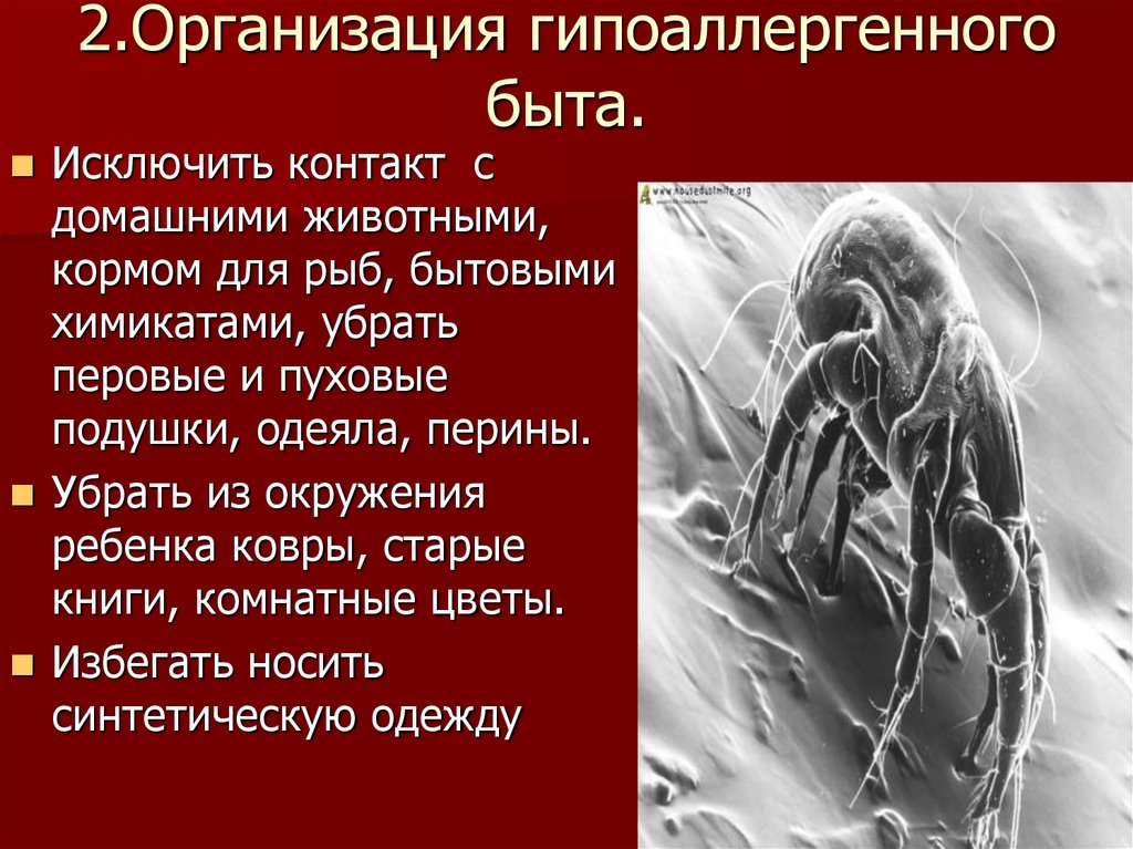 2.Организация гипоаллергенного быта.