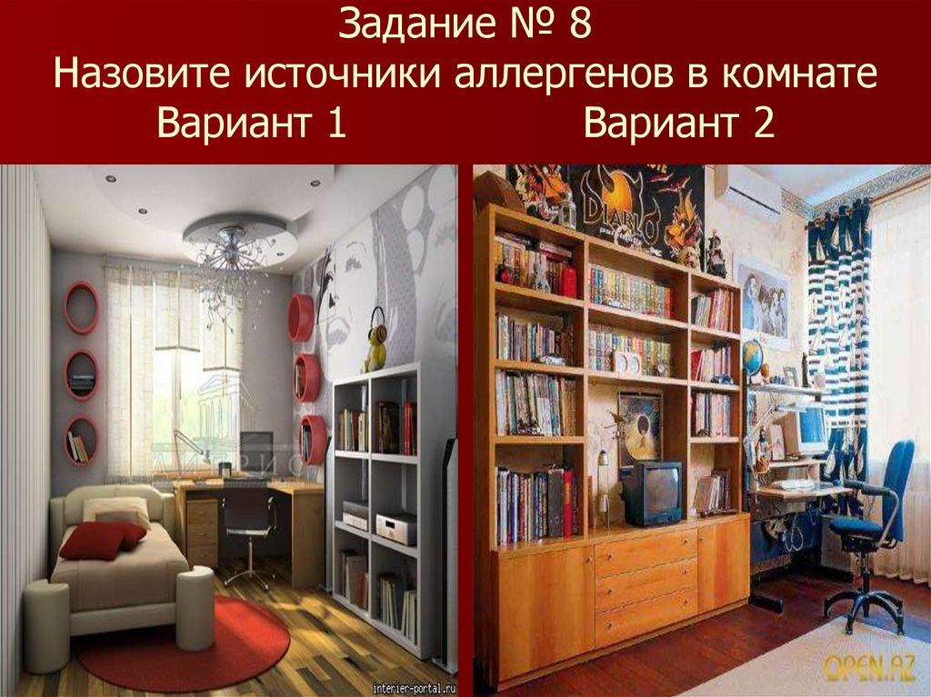 Задание № 8 Назовите источники аллергенов в комнате Вариант 1 Вариант 2