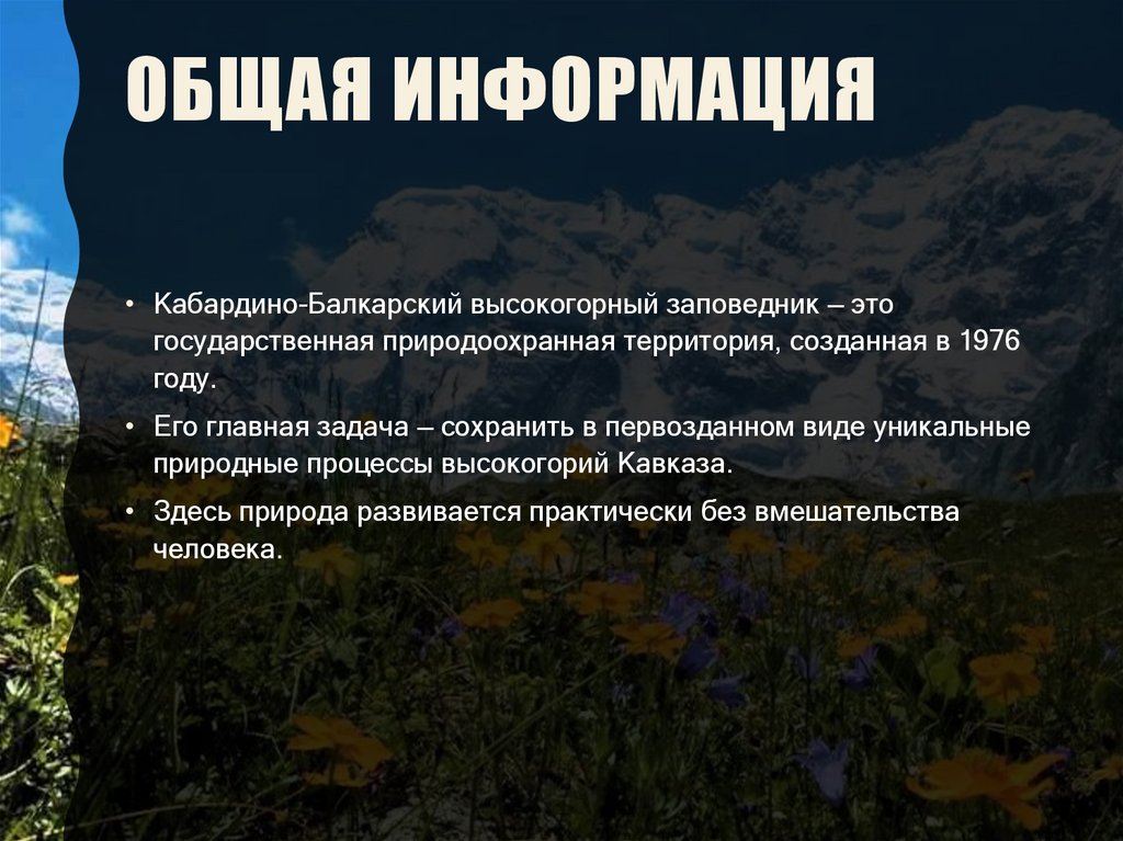 Общая информация