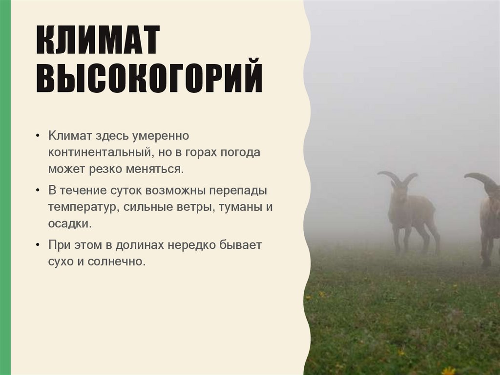 Климат высокогорий