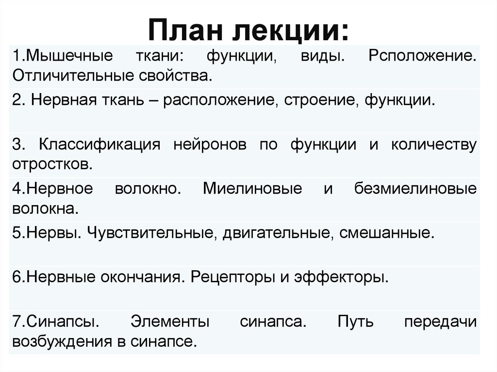 План лекции: