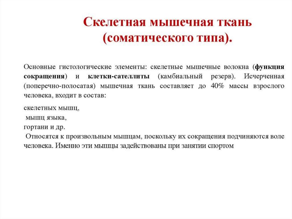 Поперечно-полосатая мышечная ткань