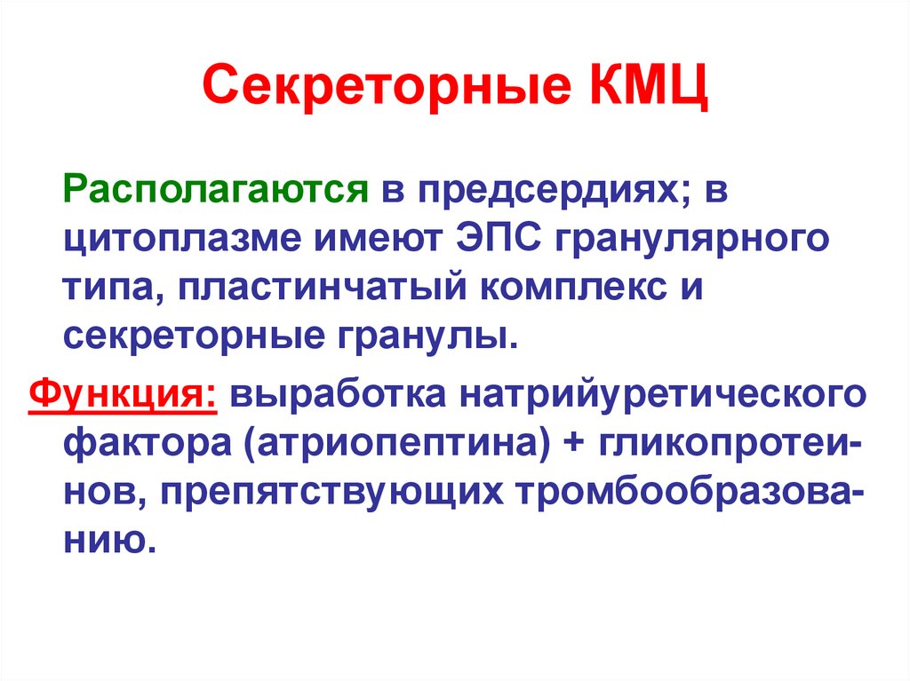 Секреторные КМЦ