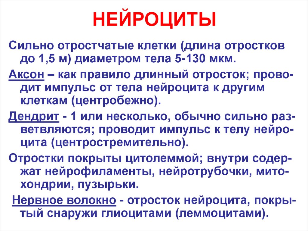 НЕЙРОЦИТЫ