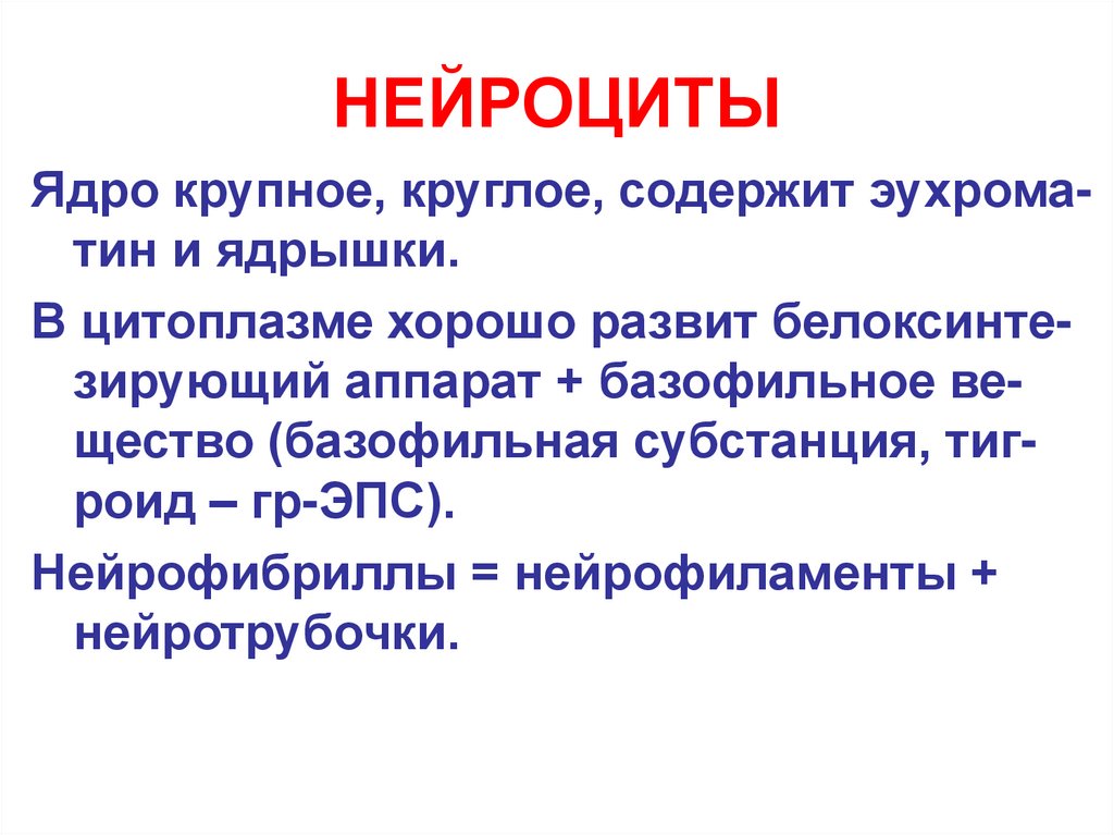 НЕЙРОЦИТЫ