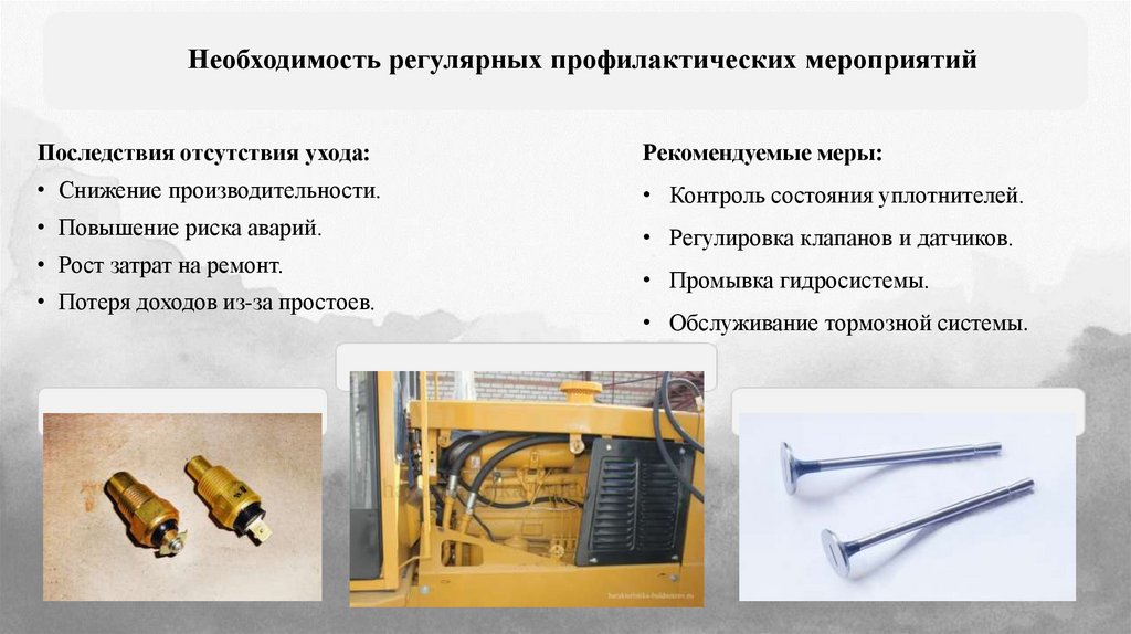 Необходимость регулярных профилактических мероприятий