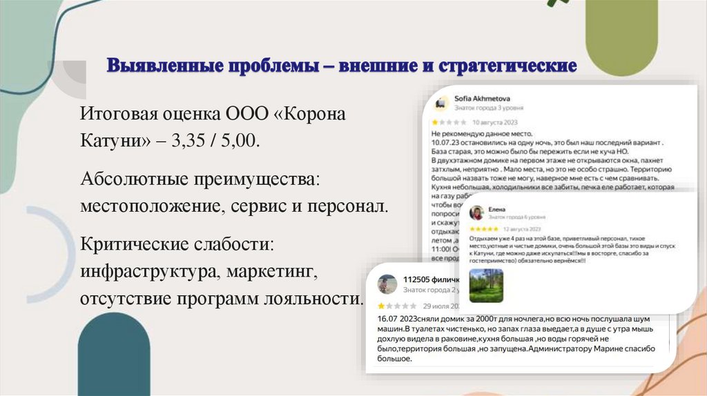 Выявленные проблемы – внешние и стратегические