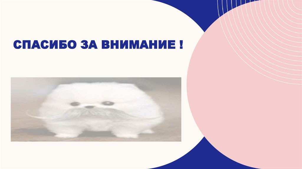 Спасибо ЗА ВНИМАНИЕ !