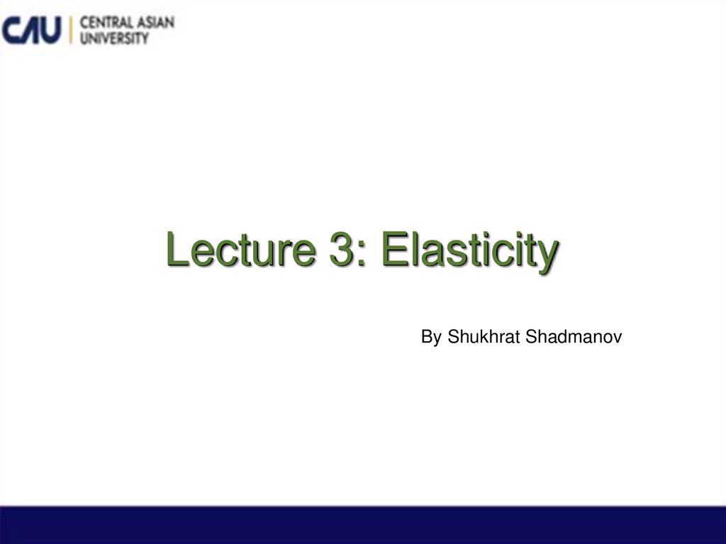 Lecture 3: Elasticity