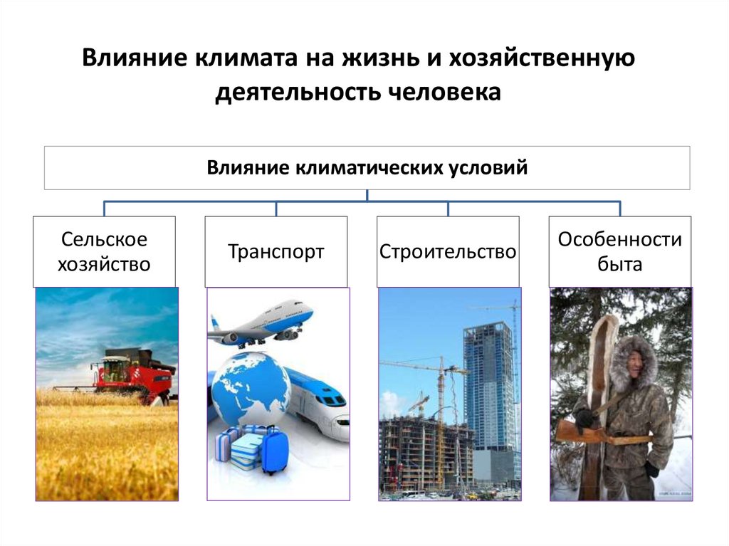 Влияние климата на жизнь и хозяйственную деятельность человека