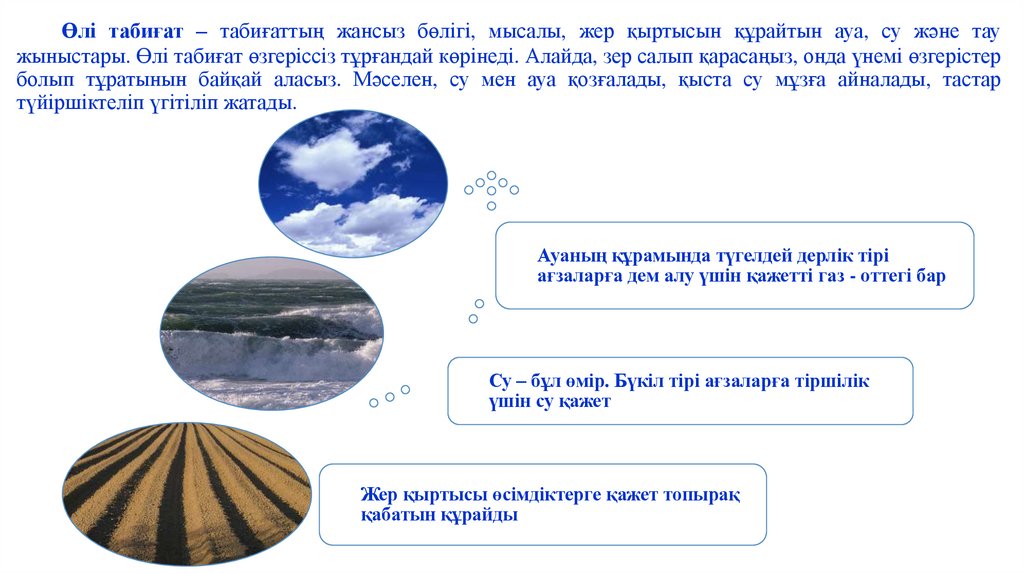 Өлі табиғат – табиғаттың жансыз бөлігі, мысалы, жер қыртысын құрайтын ауа, су және тау жыныстары. Өлі табиғат өзгеріссіз