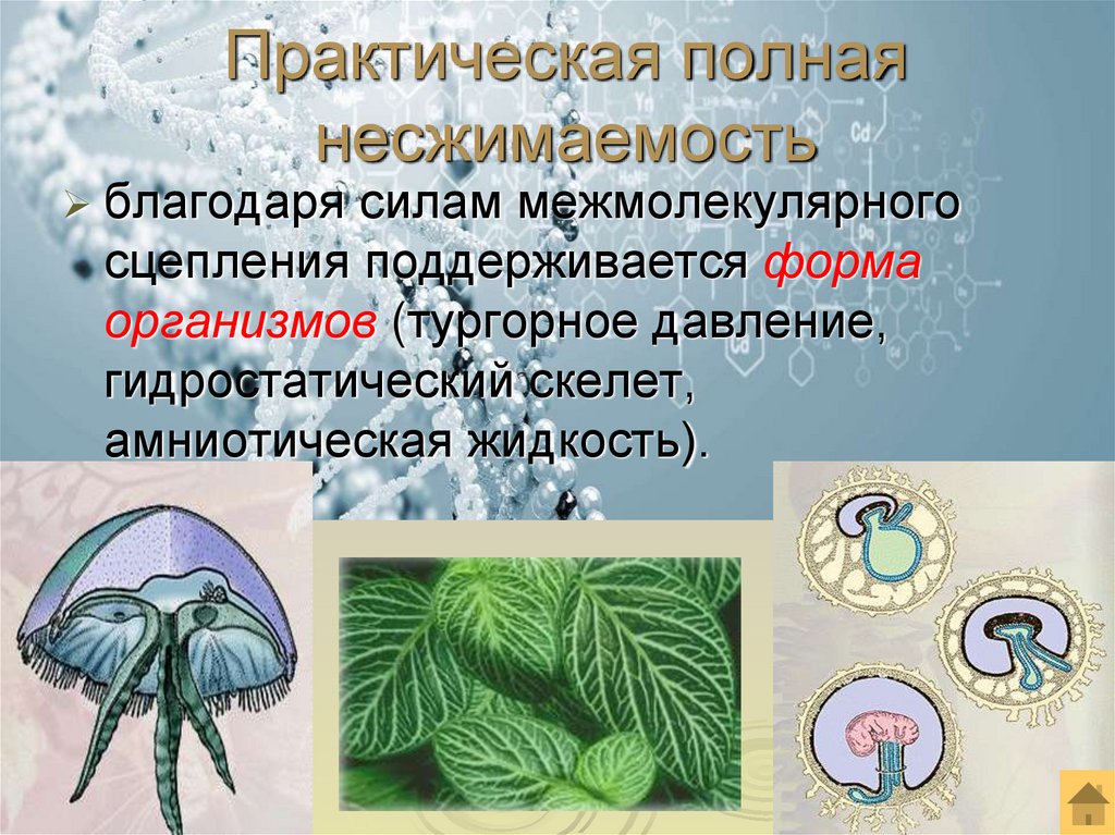 Практическая полная несжимаемость