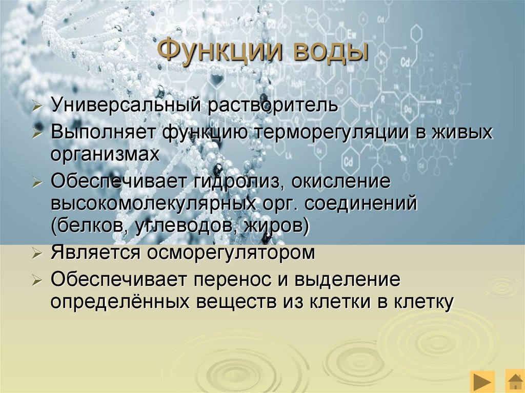 Функции воды