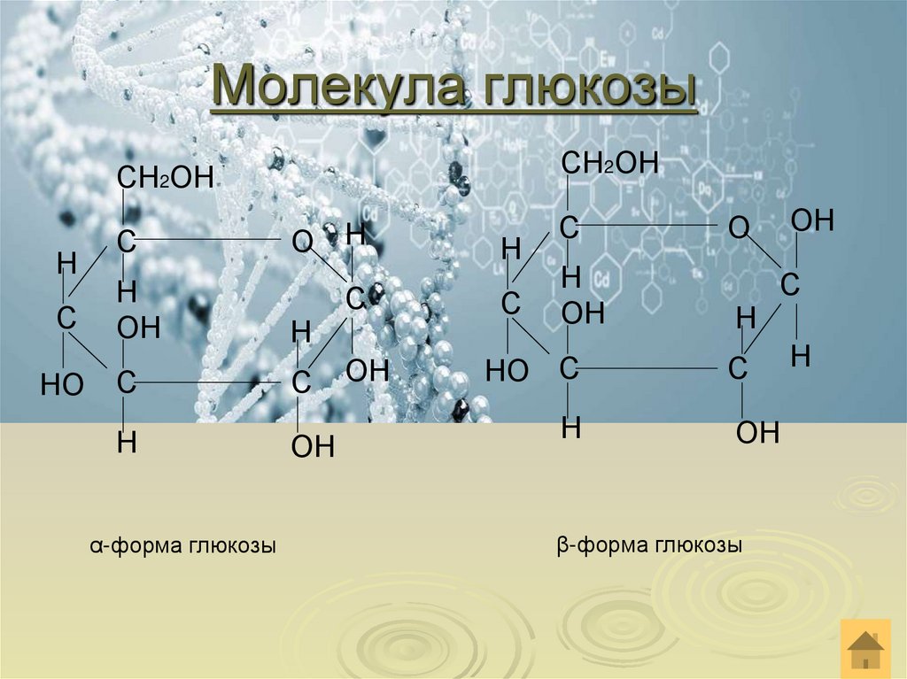 Молекула глюкозы