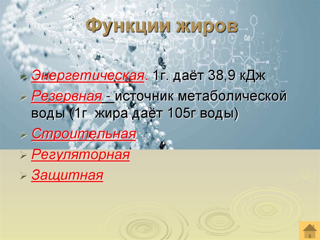 Функции жиров