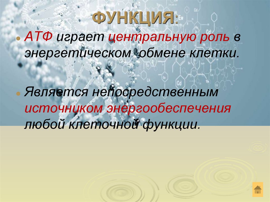 ФУНКЦИЯ: