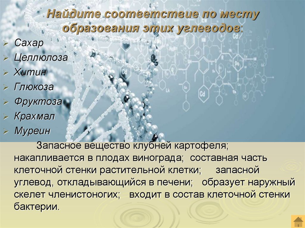 Найдите соответствие по месту образования этих углеводов:
