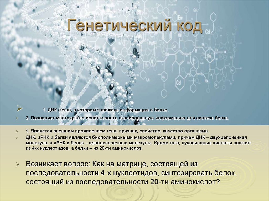 Генетический код