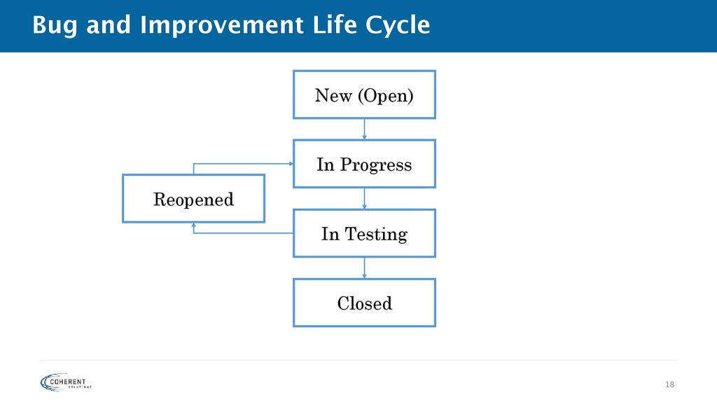 Bug and Improvement Life Cycle