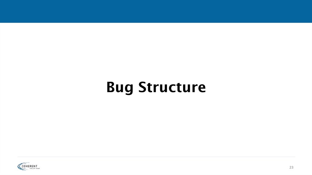 Bug Structure