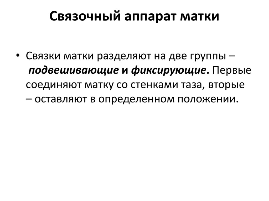 Связочный аппарат матки