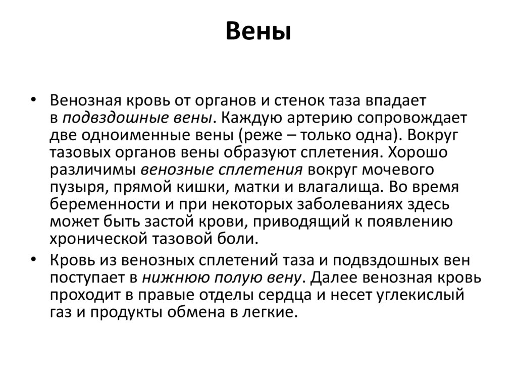 Вены