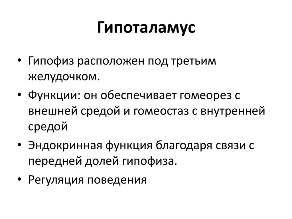 Гипоталамус