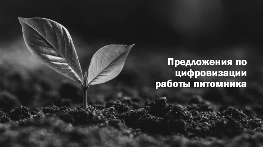 Предложения по цифровизации работы питомника