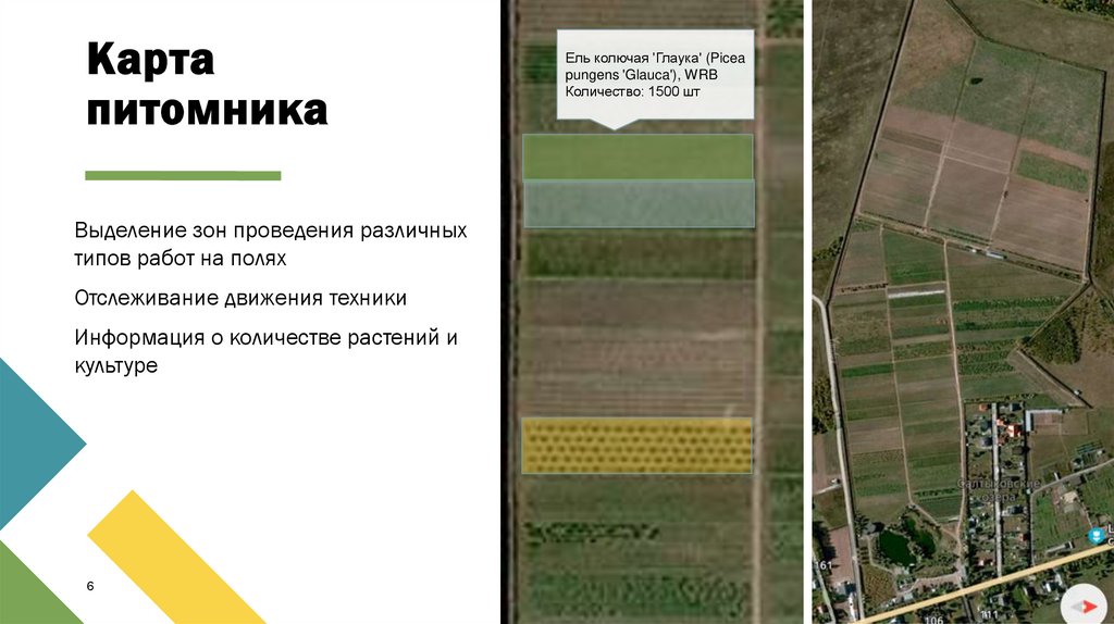 Карта питомника