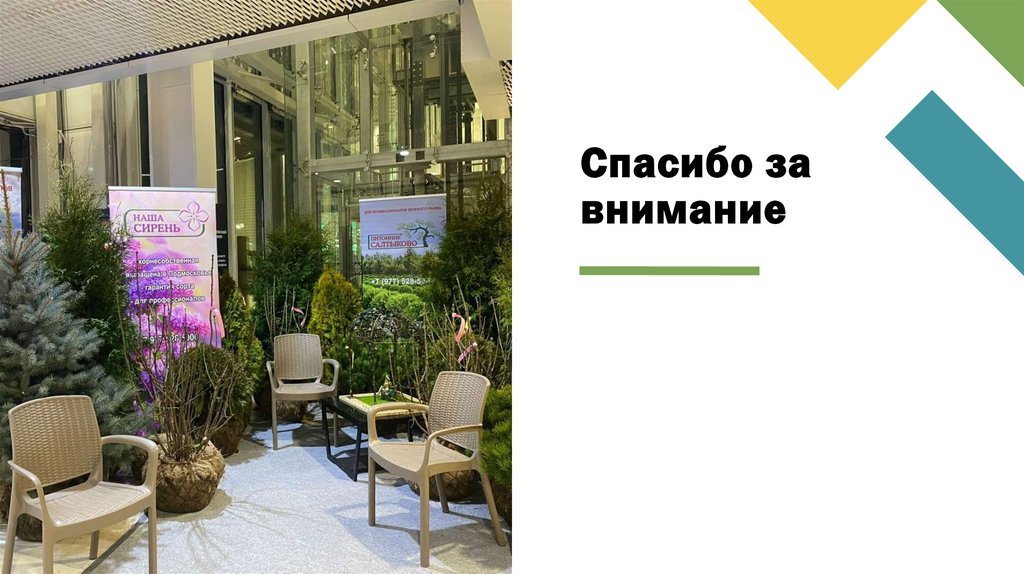 Спасибо за внимание