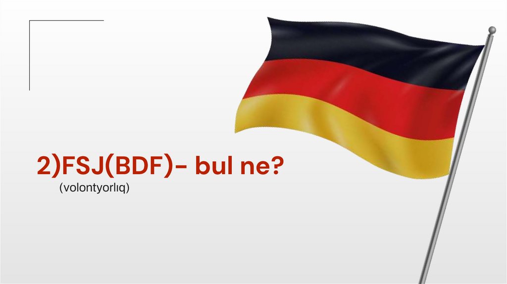 2)FSJ(BDF)- bul ne?