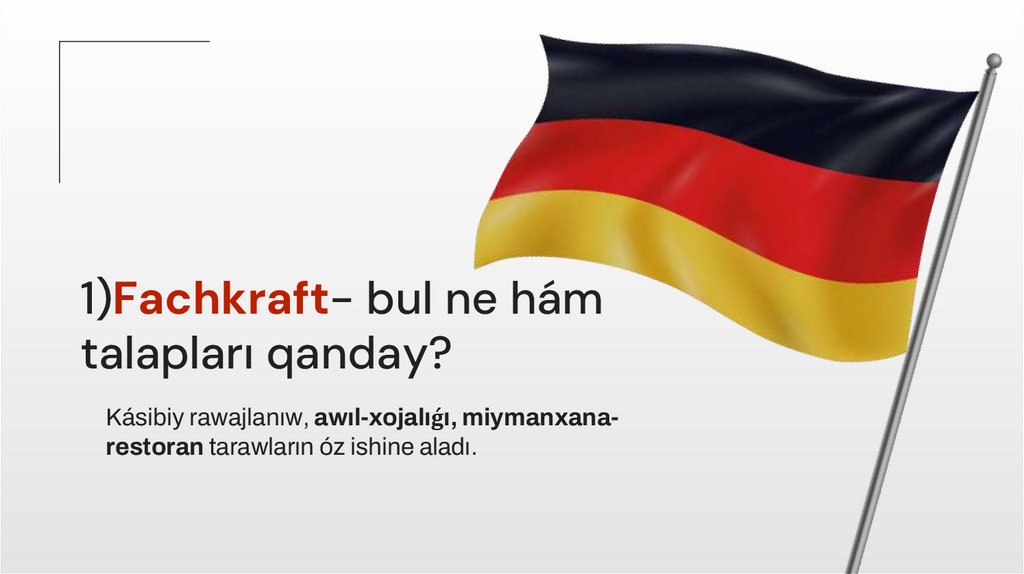 1)Fachkraft- bul ne hám talapları qanday?