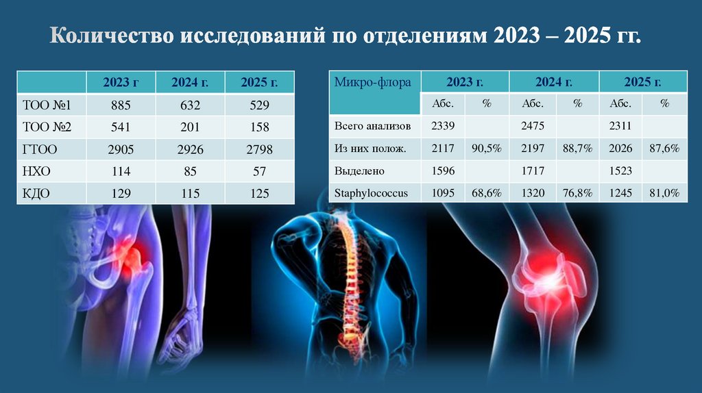 Количество исследований по отделениям 2023 – 2025 гг.