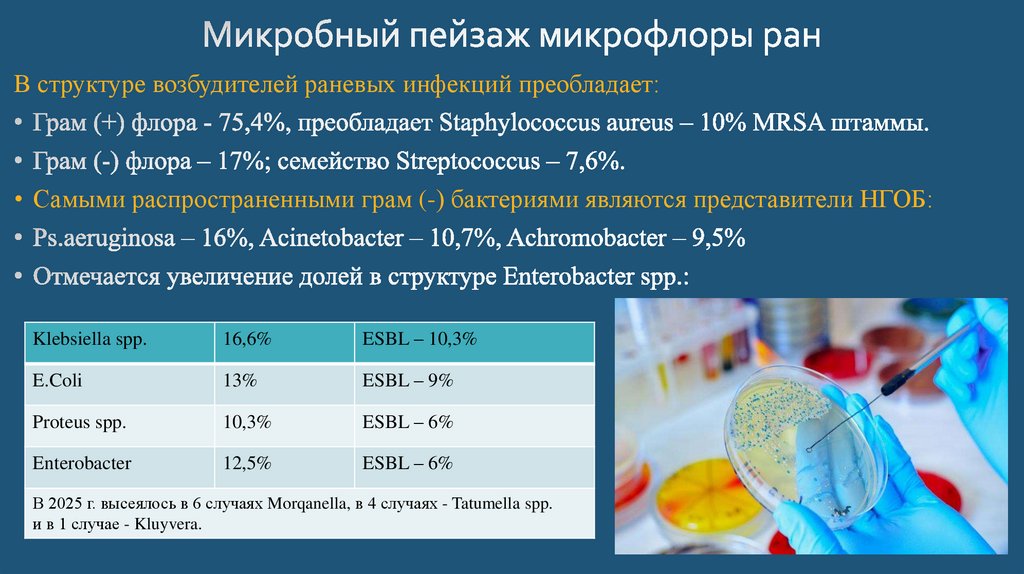 Микробный пейзаж микрофлоры ран