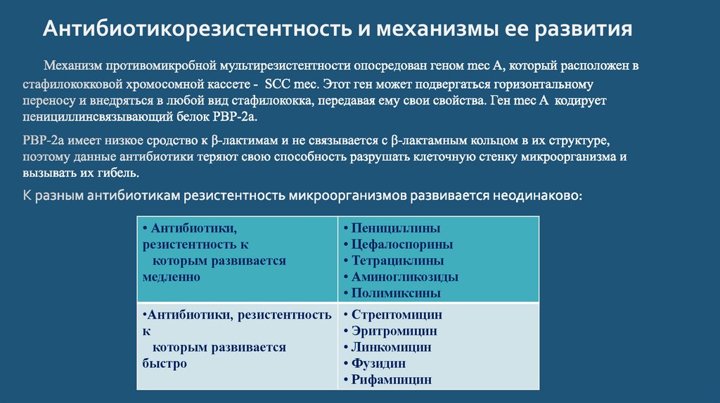Антибиотикорезистентность и механизмы ее развития