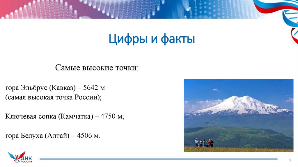 Цифры и факты