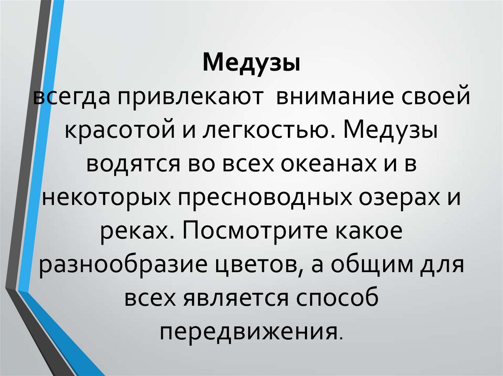 Медузы всегда привлекают внимание своей красотой и легкостью. Медузы водятся во всех океанах и в некоторых пресноводных озерах